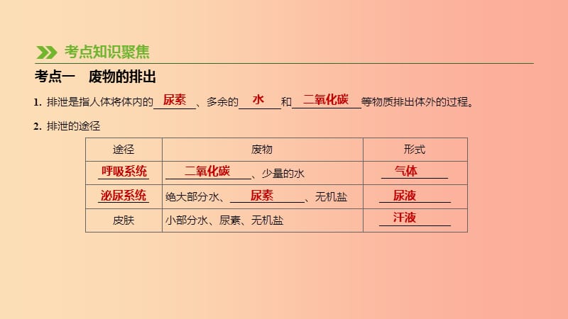 江苏省徐州市2019年中考生物复习 第五单元 生命活动的调节和生态系统的稳定 第12课时 人体内废物的排出.ppt_第2页