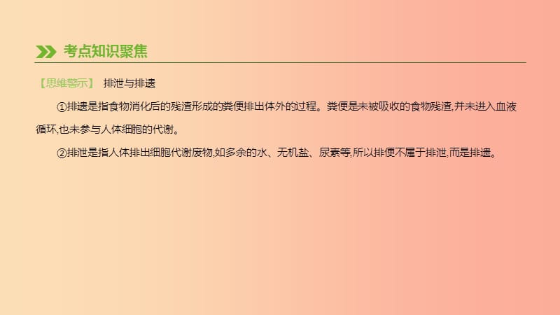 江苏省徐州市2019年中考生物复习 第五单元 生命活动的调节和生态系统的稳定 第12课时 人体内废物的排出.ppt_第3页