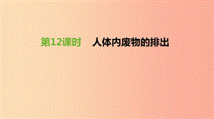 江蘇省徐州市2019年中考生物復習 第五單元 生命活動的調節(jié)和生態(tài)系統(tǒng)的穩(wěn)定 第12課時 人體內(nèi)廢物的排出.ppt