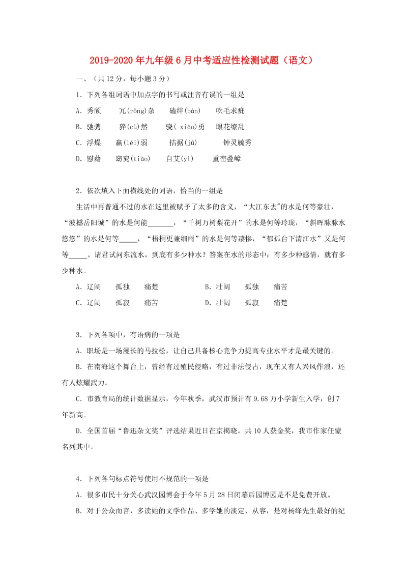 2019-2020年九年级6月中考适应性检测试题（语文）.doc_第1页