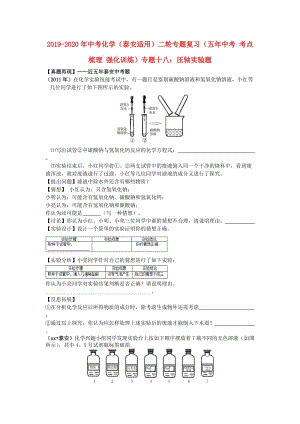 2019-2020年中考化學(xué)（泰安適用）二輪專題復(fù)習(xí)（五年中考 考點梳理 強(qiáng)化訓(xùn)練）專題十八：壓軸實驗題.doc