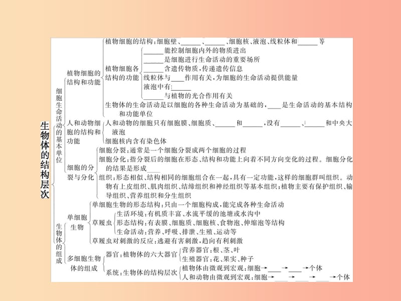 七年级生物上册 第2单元 生物体的结构层次整合习题课件 （新版）苏教版.ppt_第2页