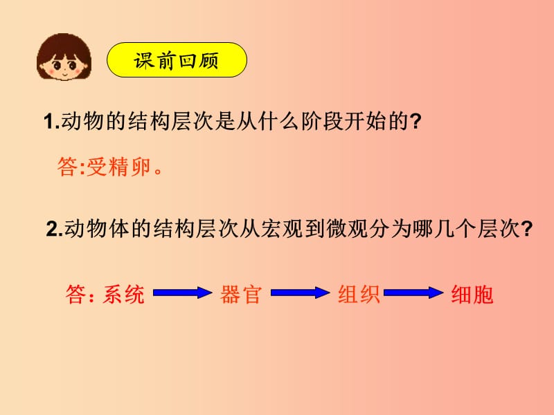 七年级生物上册 第二单元 第二章 第三节 植物体的结构层次课件 新人教版.ppt_第2页