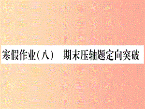 九年級數(shù)學(xué)下冊 寒假作業(yè)（八）期末壓軸題定向突破作業(yè)課件 （新版）滬科版.ppt