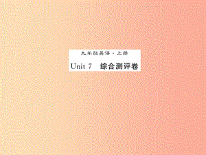 九年級英語全冊 Unit 7 Teenagers should be allowed to choose their own clothes測試卷新人教版.ppt