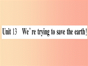 九年級英語全冊 寒假作業(yè) Unit 13 We’re trying to save the earth課堂導(dǎo)練（含2019中考真題）人教新目標(biāo)版.ppt