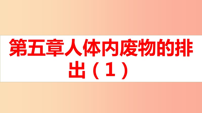 广东省河源市七年级生物上册 4.5 人体内废物的排出（第1课时）课件 新人教版.ppt_第1页