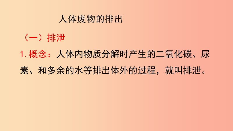 广东省河源市七年级生物上册 4.5 人体内废物的排出（第1课时）课件 新人教版.ppt_第3页