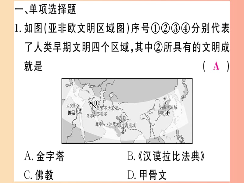 2019年秋九年级历史上册 专题一 古代亚非欧文明习题课件 新人教版.ppt_第2页