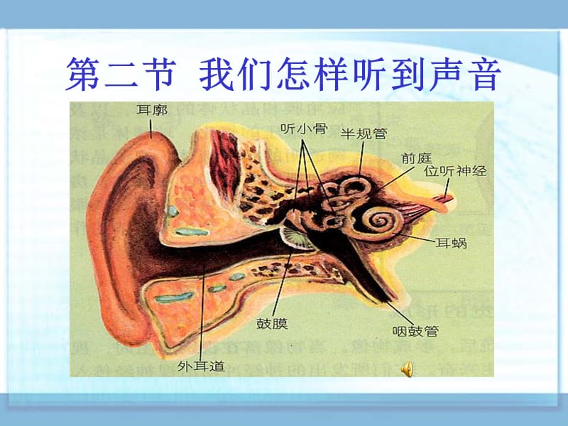 《我们怎样听到声音》课件人教版八年级上.ppt_第1页