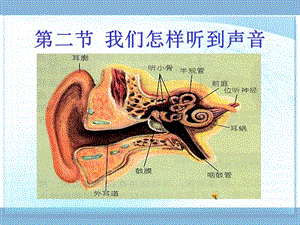 《我們怎樣聽到聲音》課件人教版八年級上.ppt