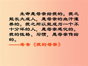 廣東省廉江市八年級語文上冊 第二單元 6 回憶我的母親課件 新人教版.ppt