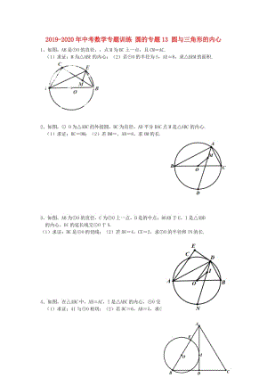 2019-2020年中考數(shù)學(xué)專題訓(xùn)練 圓的專題13 圓與三角形的內(nèi)心.doc