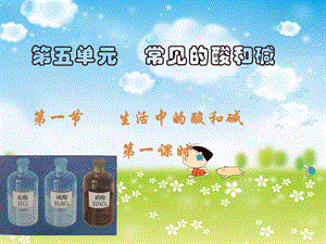 化學(xué)《生活中的酸和堿》課件魯教版九年級(jí).ppt