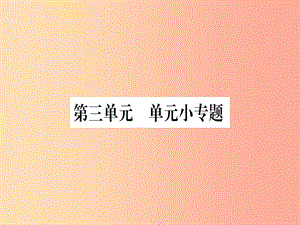 2019年春八年級歷史下冊 第三單元 曲折探索中的成就與失誤單元小專題習題課件 中華書局版.ppt