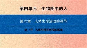 2019年七年級(jí)生物下冊(cè) 第四單元 第六章 第一節(jié) 人體對(duì)外界環(huán)境的感知課件 新人教版.ppt