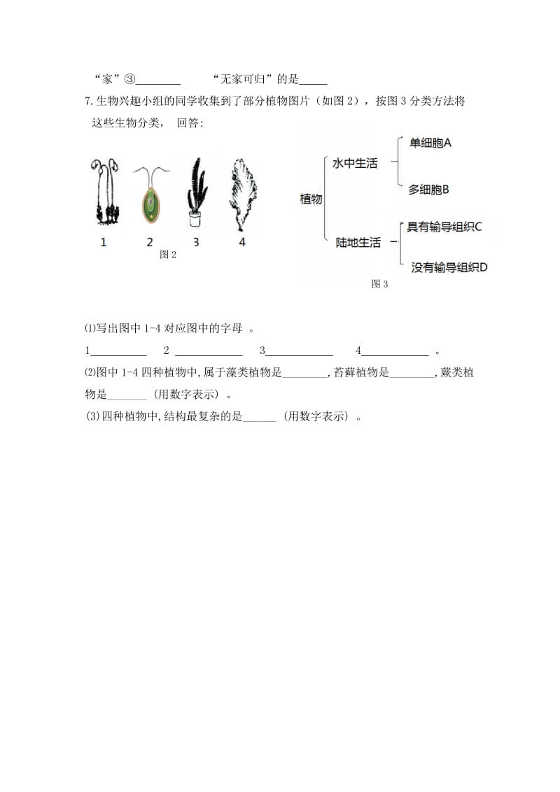 2019-2020年七年级人教版生物上册课时作业：3.1.1藻类、苔藓和蕨类植物.doc_第2页