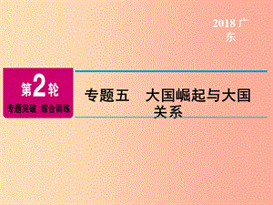 廣東省2019年中考?xì)v史總復(fù)習(xí) 第2輪 專題突破 綜合訓(xùn)練 專題五 大國(guó)崛起與大國(guó)關(guān)系課件.ppt