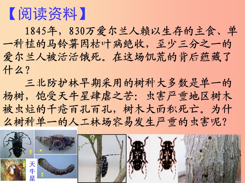 吉林省通化市八年级生物上册 6.2认识生物的多样性课件 新人教版.ppt_第1页