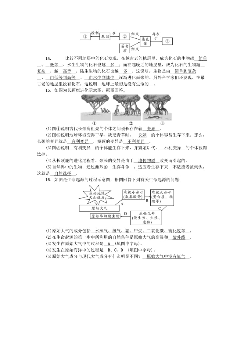 2019-2020年中考科学总复习第一部分考点聚焦第33讲演化的自然试题.doc_第3页