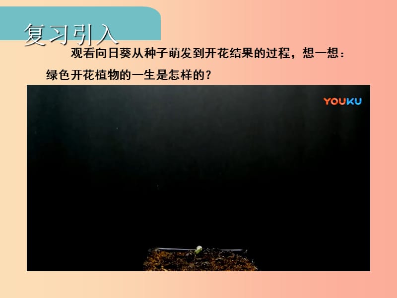 中考江西专用2019中考生物四一绿色开花植物的一生习题课件.ppt_第2页