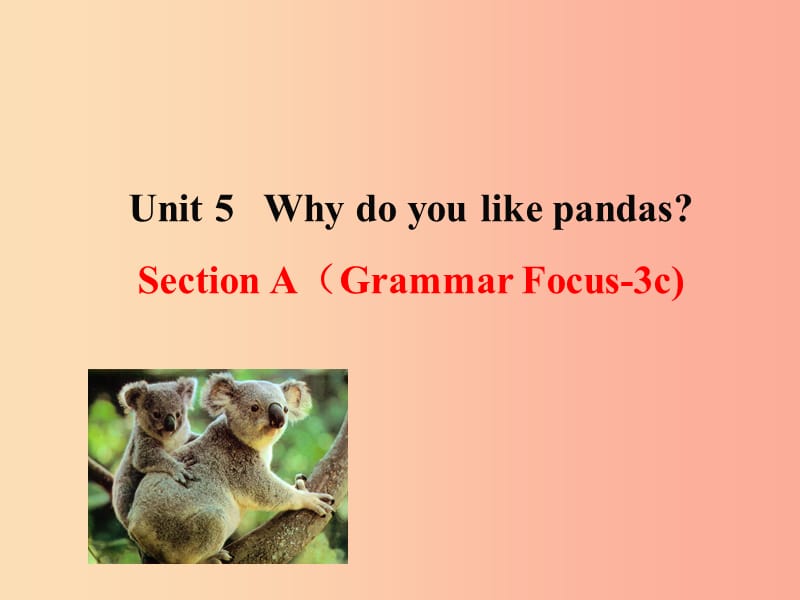 七年级英语下册 Unit 5 Why do you like pandas Section A（Grammer Focus-3c）教学课件2 人教新目标版.ppt_第1页