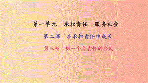 九年級政治全冊 第一單元 承擔(dān)責(zé)任 服務(wù)社會 第二課 在承擔(dān)責(zé)任中成長 第三框 做一個負責(zé)任的公民習(xí)題.ppt