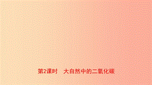 山東省2019年中考化學一輪復習 第六單元 燃料與燃燒 第2課時 大自然中的二氧化碳課件.ppt