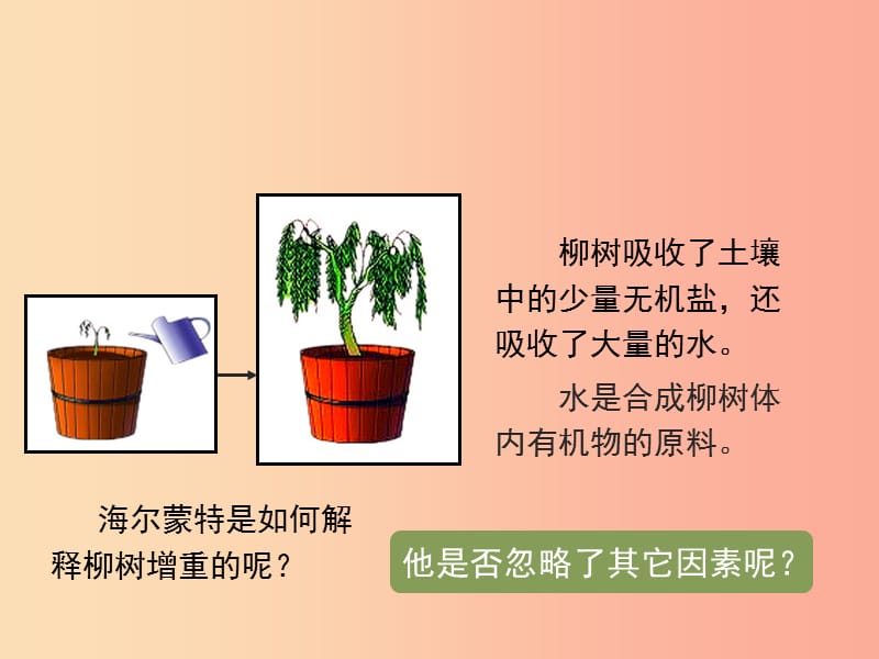 2019年七年级生物上册 3.5.1《光合作用吸收二氧化碳释放氧气》课件3 新人教版.ppt_第3页