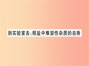 2019年秋九年級化學(xué)全冊 第8單元 海水中的化學(xué) 到實(shí)驗(yàn)室去 粗鹽中難溶性雜質(zhì)的去除習(xí)題課件 魯教版.ppt