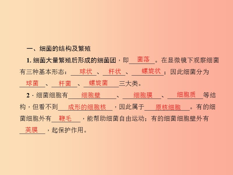 七年级科学下册第1章第6节细菌和真菌的繁殖第1课时细菌习题课件浙教版.ppt_第3页