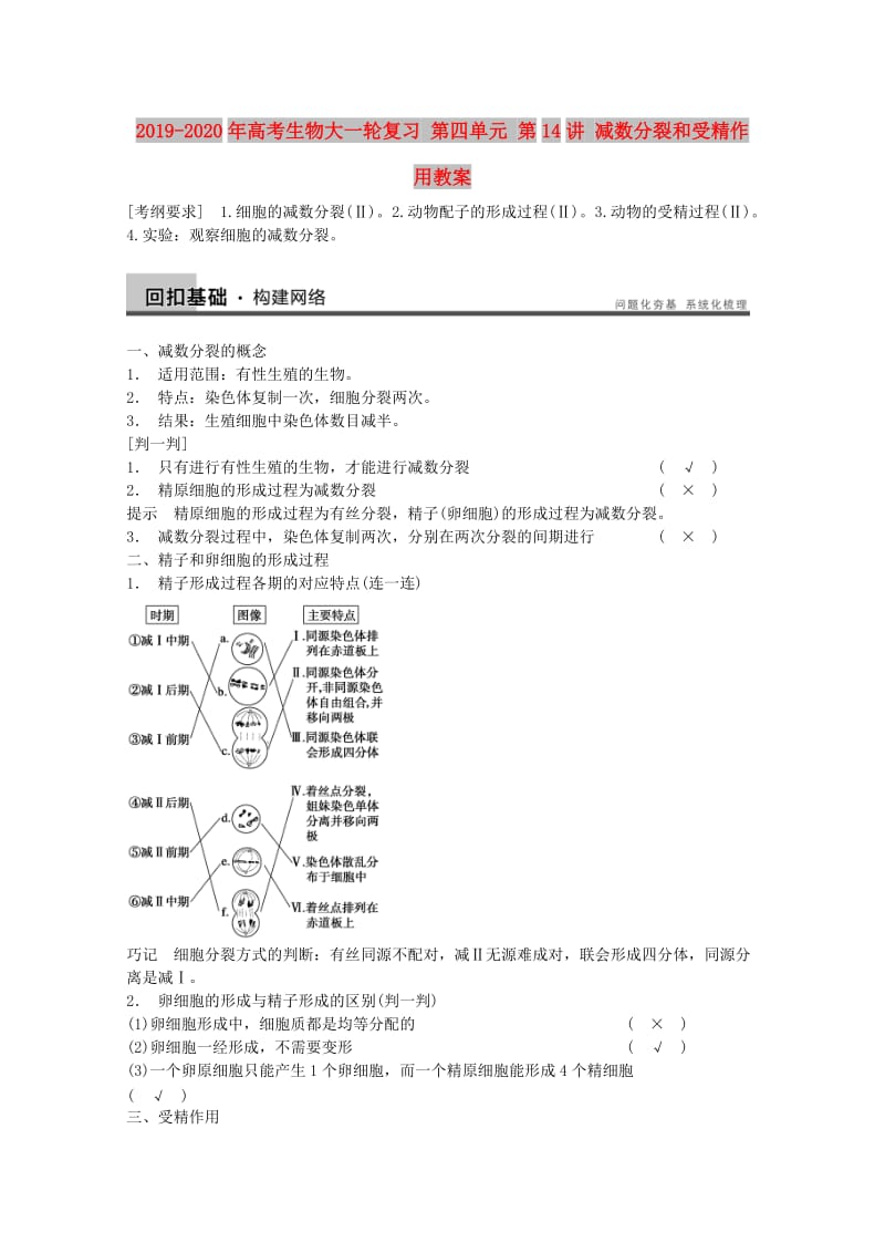 2019-2020年高考生物大一轮复习 第四单元 第14讲 减数分裂和受精作用教案.doc_第1页