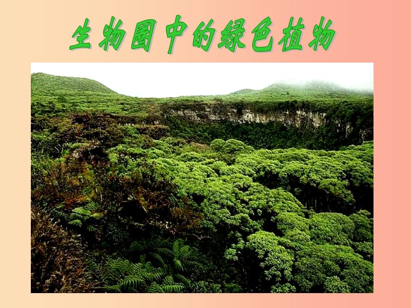 吉林省七年级生物上册3.1.1藻类苔藓和蕨类植物课件2 新人教版.ppt_第1页