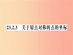 九年級數(shù)學(xué)上冊 第二十三章 旋轉(zhuǎn) 23.2 中心對稱 23.3.3 關(guān)于原點(diǎn)對稱的點(diǎn)的坐標(biāo)習(xí)題課件 新人教版.ppt