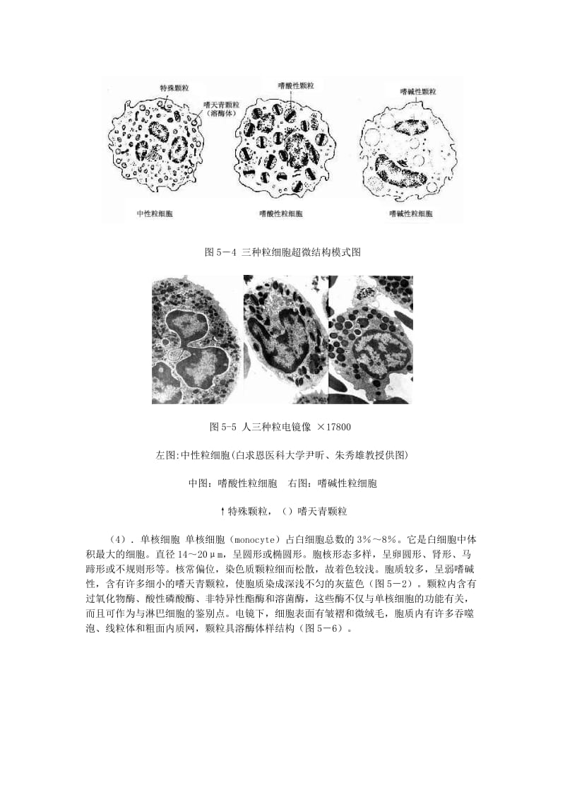 2019-2020年高二生物 内环境与稳态教案.doc_第3页