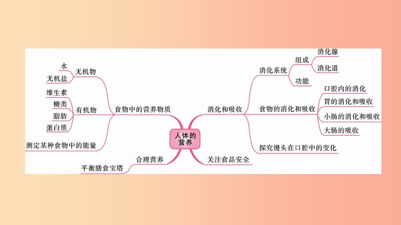 2019中考生物总复习 第一部分 基础考点巩固 第四单元 生物圈中的人 第二章 人体的营养课件.ppt_第2页