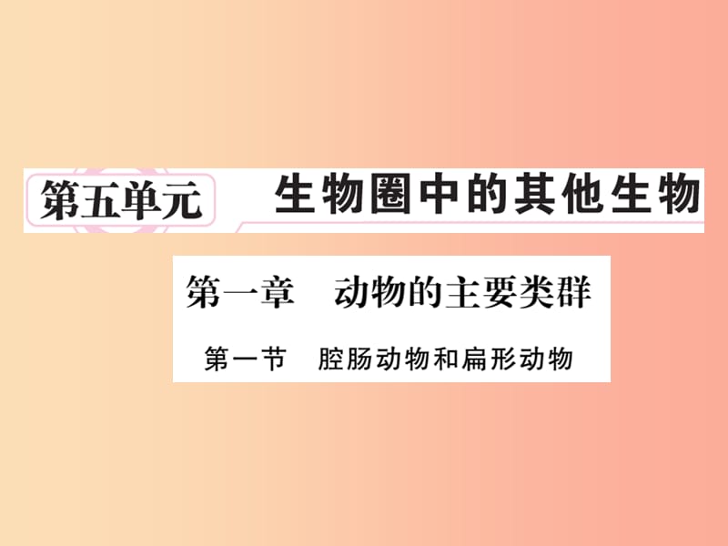 2019年八年级生物上册 第五单元 第一章 第一节 腔肠动物和扁形动物习题课件 新人教版.ppt_第1页