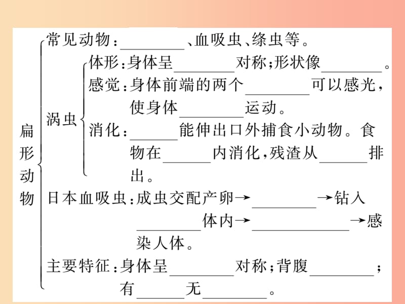 2019年八年级生物上册 第五单元 第一章 第一节 腔肠动物和扁形动物习题课件 新人教版.ppt_第3页