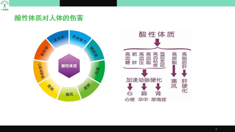 酸的痛痛风常识与药食同源调理ppt课件_第3页