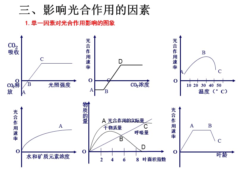 光合作用(第三课时)影响光合作用的因素和计算.ppt_第1页