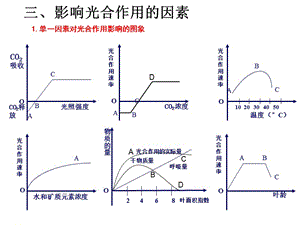 光合作用(第三課時(shí))影響光合作用的因素和計(jì)算.ppt