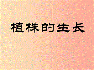 安徽省七年級生物上冊 3.2.2 植株的生長課件1 新人教版.ppt