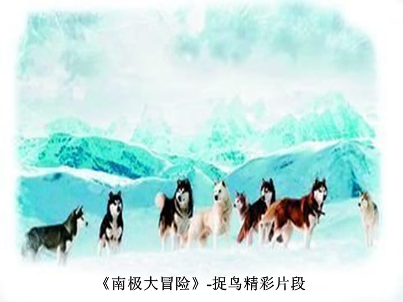 《团结合作共创和谐班级》.ppt_第1页