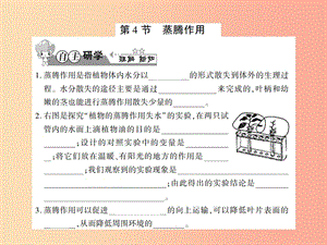 2019年七年级生物上册 第三单元 第五章 第4节 蒸腾作用习题课件（新版）北师大版.ppt