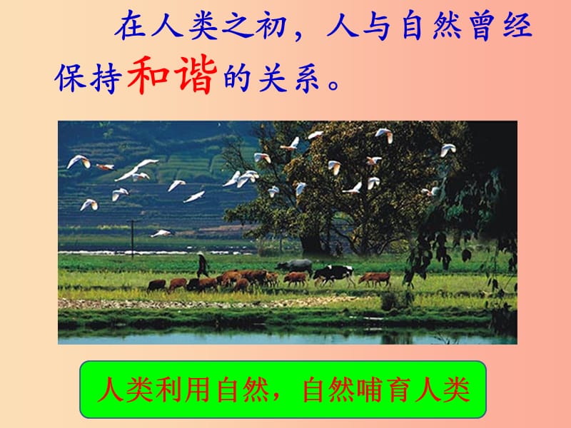 九年级道德与法治上册 第二单元 关爱自然 关爱人类 第一节 共同的问题 共同的选择课件 湘教版.ppt_第3页