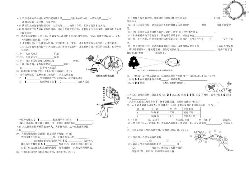 2019-2020年七年级生物下册第六章 人体生命活动的调节单元综合测试题（6）新人教版.doc_第2页