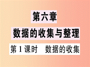 廣東省2019年秋七年級數(shù)學(xué)上冊 第六章 數(shù)據(jù)的收集與整理 第1課時 數(shù)據(jù)的收集習(xí)題課件（新版）北師大版.ppt