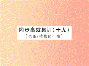 中考（江西專用）2019中考生物 同步高效集訓(xùn)（十九）課件.ppt