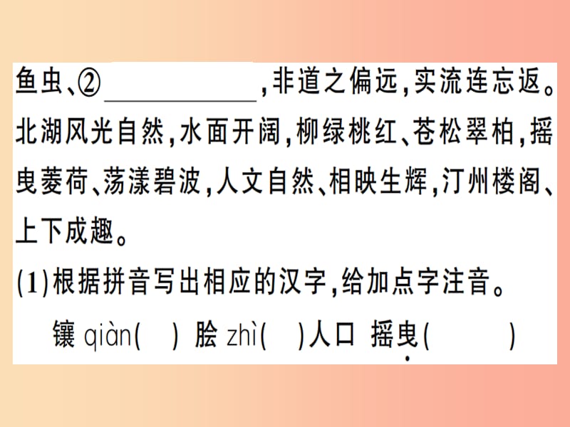 安徽专版2019春八年级语文下册专题复习二语文积累与运用习题课件新人教版.ppt_第3页