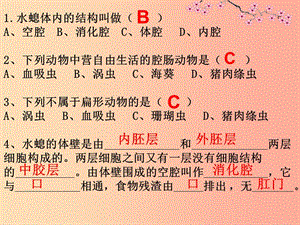 八年級生物上冊 5.1.2《線形動物和環(huán)節(jié)動物》課件2 新人教版.ppt